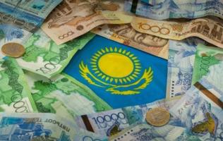 Девальвация национальной валюты, государственные гарантии и социальные риски